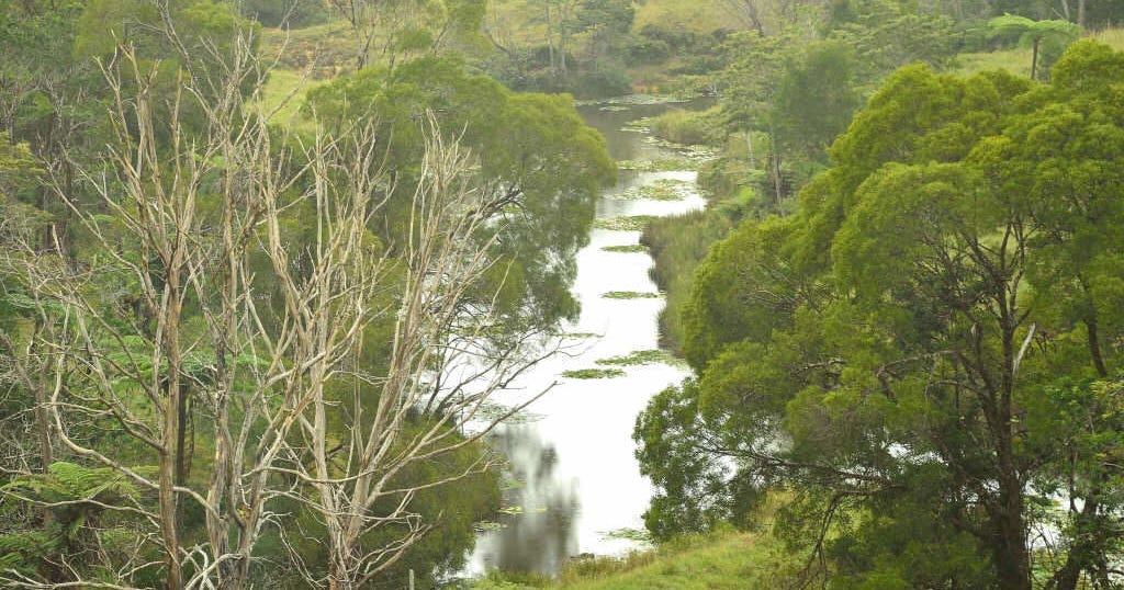 38 Snake Road, Dalrymple Heights QLD 4757