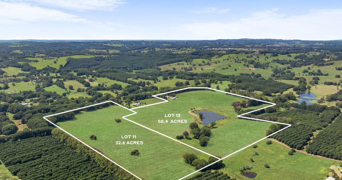 177 Humpty Back Road, Mcleans Ridges NSW 2480