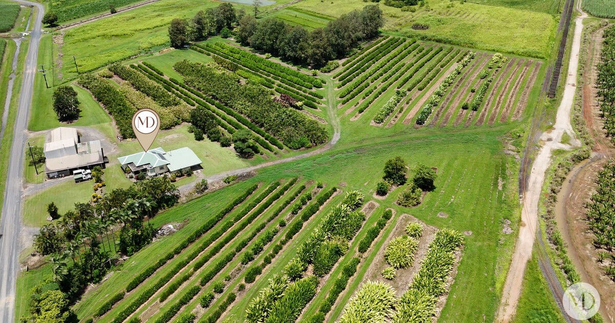 56 Wilkie Gray Road, Boogan QLD 4871 - property.com.au