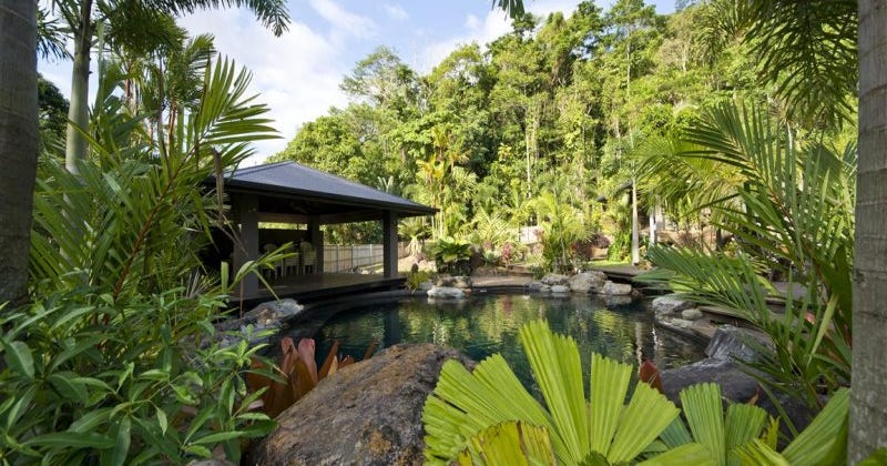 14-38 The Rocks Road, Redlynch QLD 4870 - property.com.au