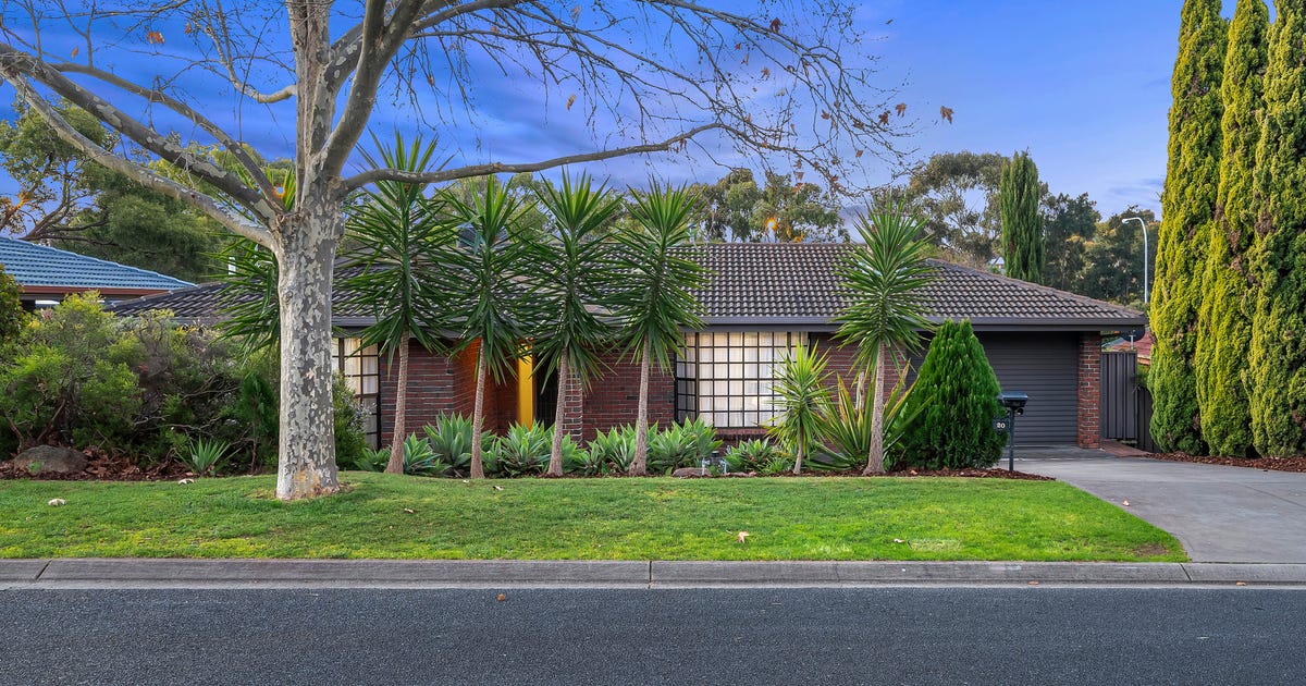 20 John Renwick Place, Modbury Heights SA 5092