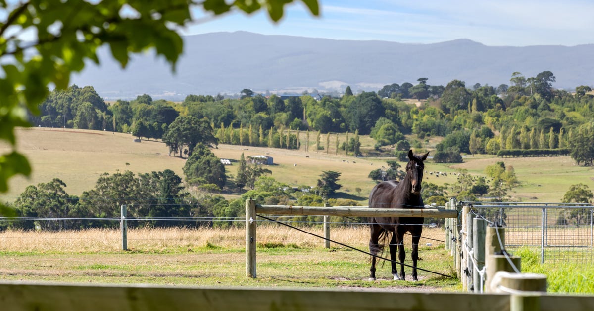 130 Tolley Road, Ripplebrook VIC 3818