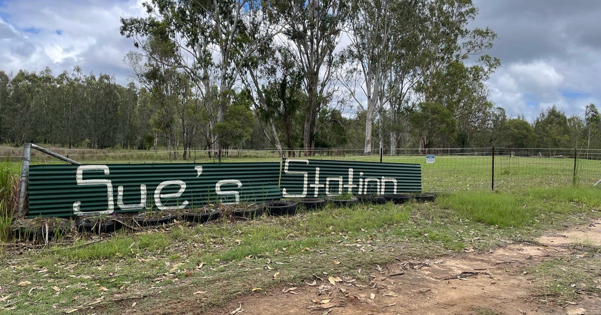 1653 Old Tenterfield Road, Six Mile Swamp NSW 2469