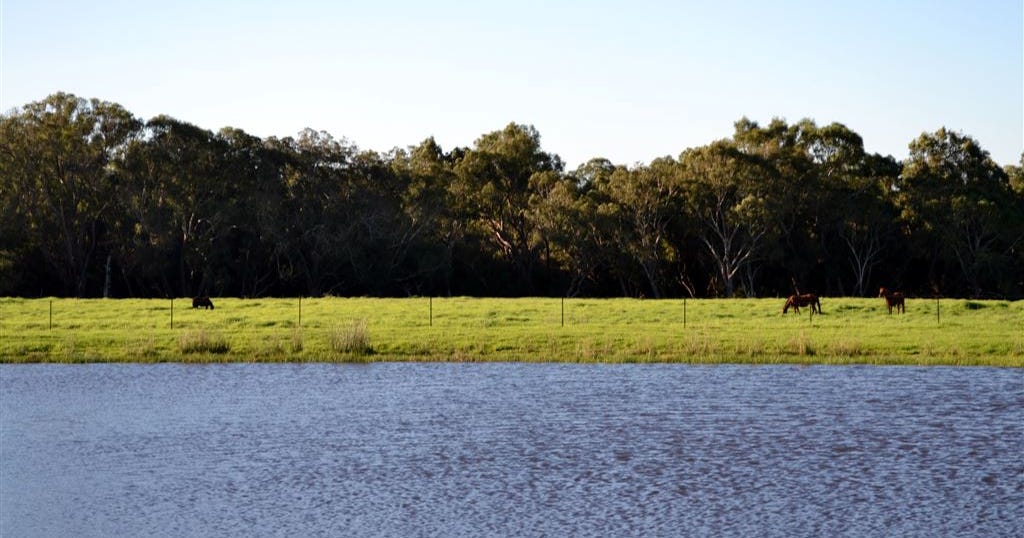 Lot 1231 Gingin Brook Road, Muckenburra WA 6503