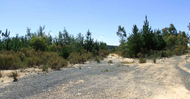 100 Long Point Road, Mullion Creek NSW 2800 - property.com.au