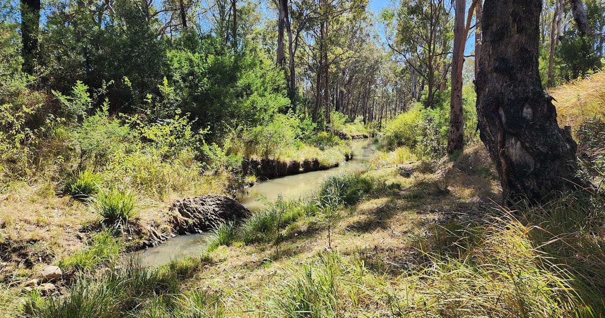Lot 1 Garvey Road, Ravensbourne QLD 4352