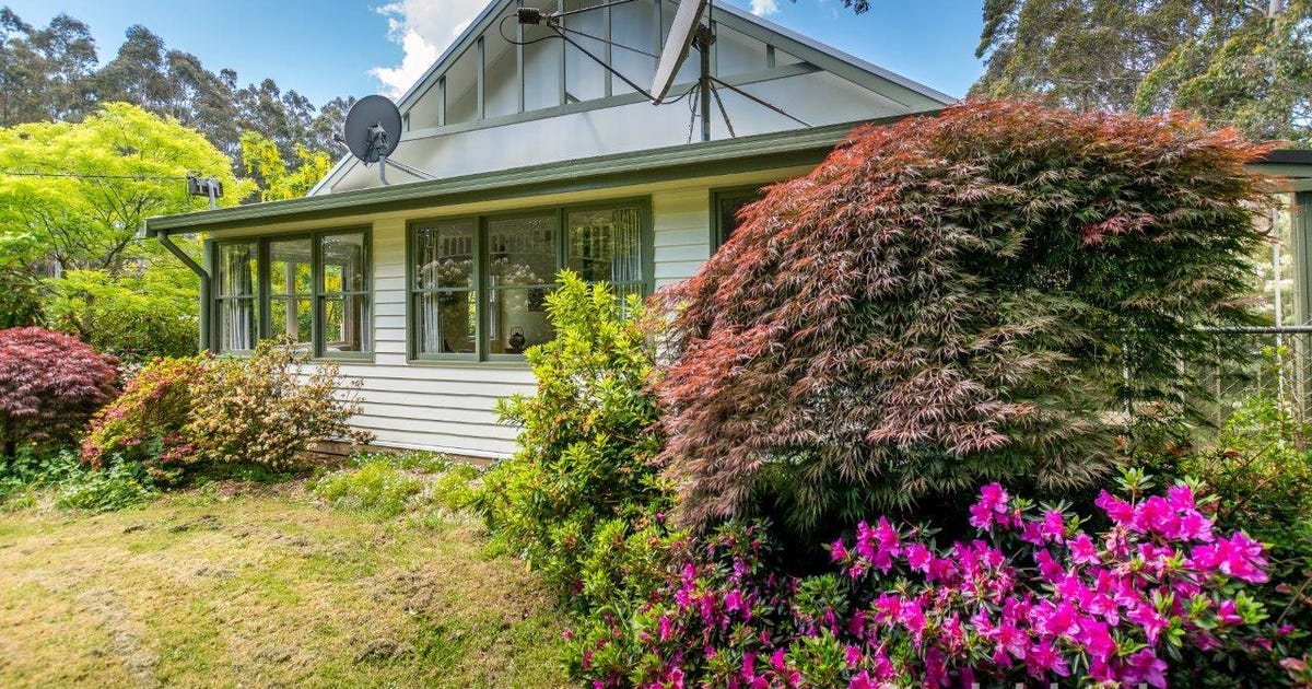 1652 Bulga Park Road, Balook VIC 3971 - property.com.au