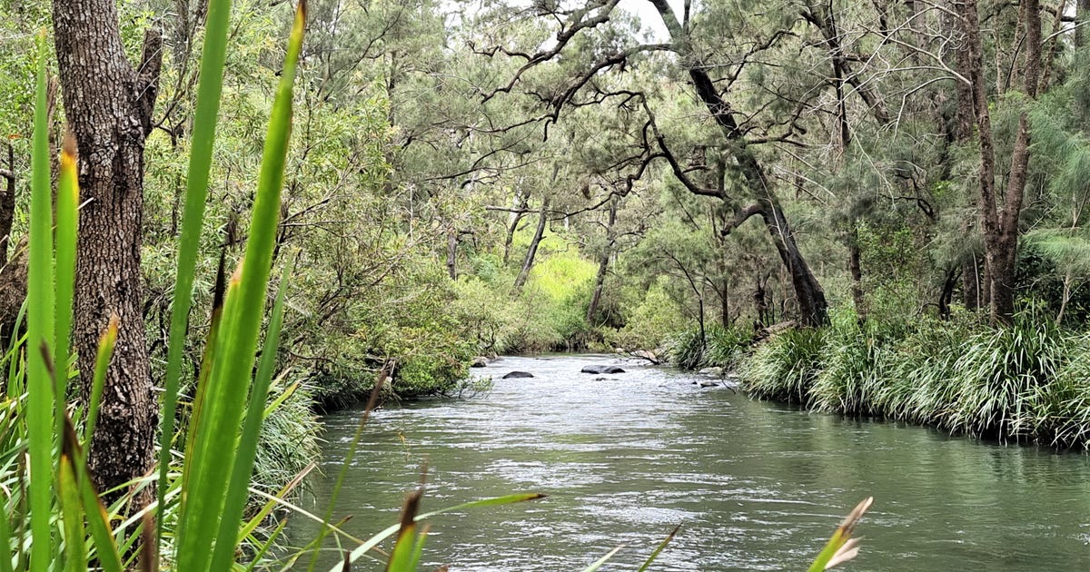 53 River Road, Millstream QLD 4888