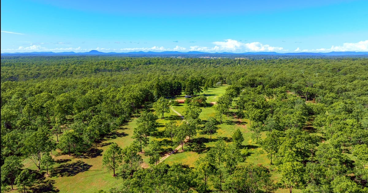 1773 Armidale Road, Coutts Crossing NSW 2460