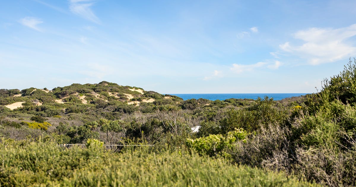 8 Trinity Court, Rye VIC 3941 - property.com.au