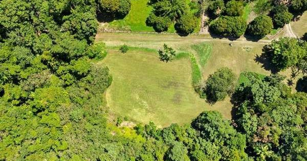 162 The Rocks Road, Redlynch QLD 4870 - property.com.au