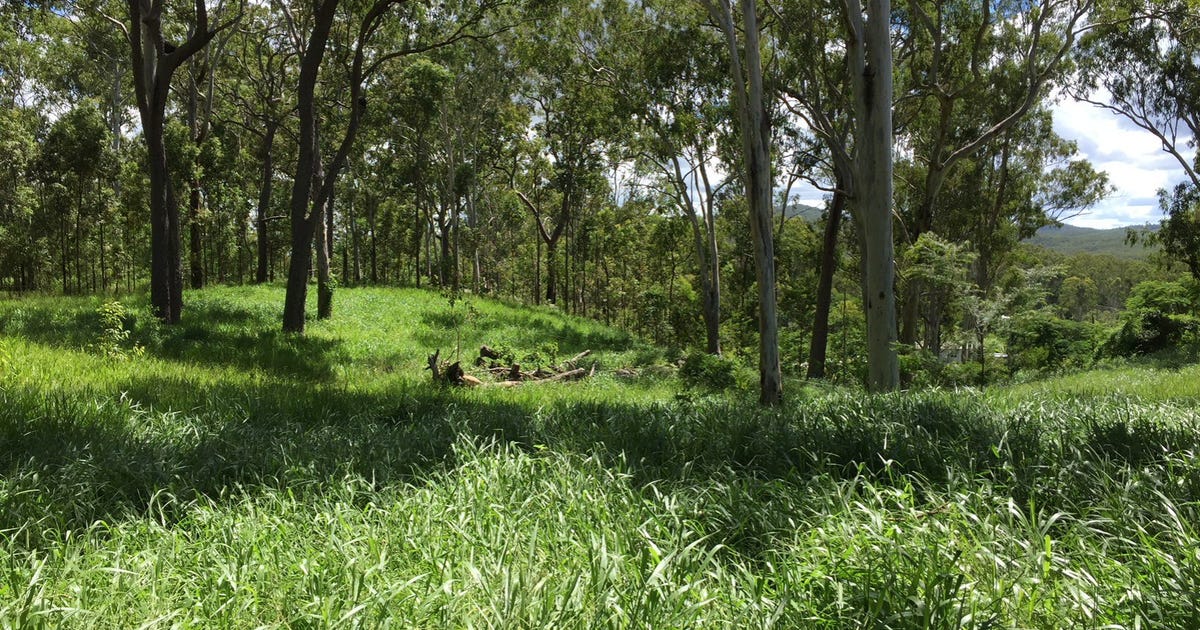 32 Flaggy Creek Road, Wondecla QLD 4887