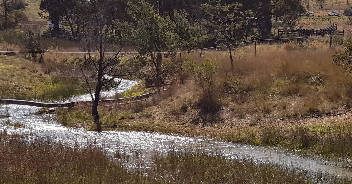 1 Moore Street, Emmaville NSW 2371