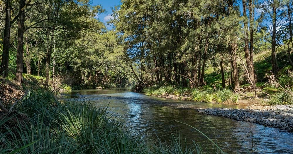 1099 Allyn River Road, Allynbrook NSW 2311 - property.com.au
