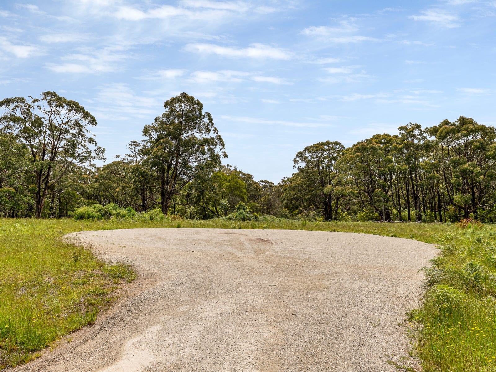 Cleared area surrounded by native bushland