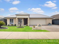 13 Dragonfly Drive, Chisholm, NSW 2322