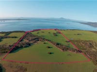 Puncheon Island, Lady Barron TAS 7255 - House for Sale