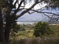 Puncheon Island, Lady Barron TAS 7255 - House for Sale