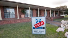 Property at 1 Richards Avenue, Singleton Heights, NSW 2330