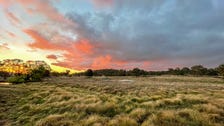 Property at 189 Balala Road, Balala, NSW 2358