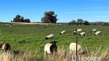 Property at 92 Pretoria Park Road, Delungra NSW 2403