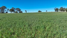 Property at 1206 Marsden Park Road, Loomberah NSW 2340