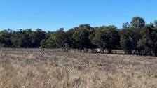 Property at 129 Newell Highway, Coonabarabran, NSW 2357