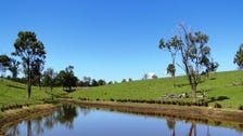 Property at 542 Long Point Road, Hillgrove, NSW 2350