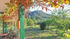 Property at 339 The Inlet Road, Bulga, NSW 2330