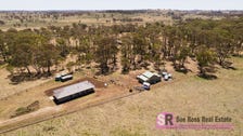 Property at 10 Martin Drive, Black Mountain, NSW 2365