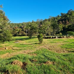 Schultz Road, Billys Creek (NSW) - Explore Local Property Market