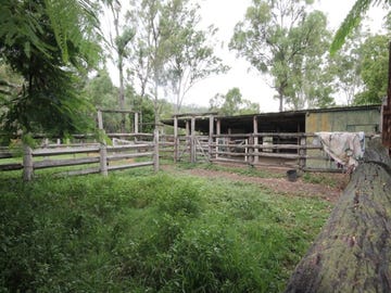 61 Morse Road, Raglan, Qld 4697 - Livestock for Sale 
