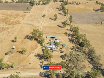 111 Nicholsons Lagoon Road, Quirindi, NSW 2343 - Property 