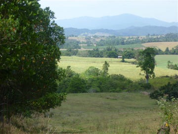 493 Number Six Branch, South Johnstone, Qld 4859 - Acreage 