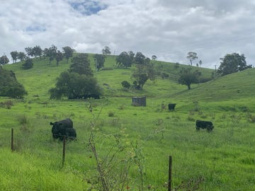 258 grosses creek rd, buckajo, nsw 2550 - residential land