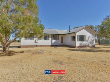 111 Nicholsons Lagoon Road, Quirindi, NSW 2343 - Property 