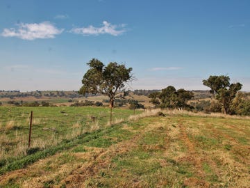 24 Hazelton Place MURRINGO via, Young, NSW 2594 - Property 