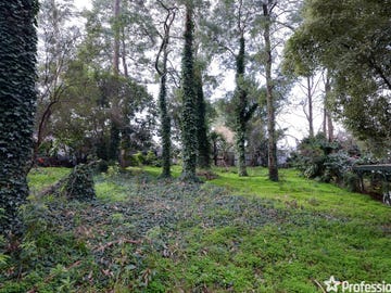 When were medieval times picture