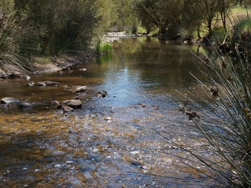 Lot 101 Cobbler Pool Road, Toodyay, WA 6566 - Property Details