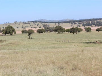 . "Mulela" Weblands Rd, Quirindi, NSW 2343 - Property Details