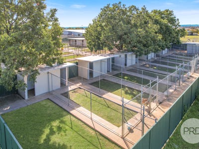Precious Pets Boarding Kennel and Cattery, Tamworth, NSW