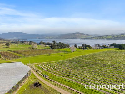 Platinum Ridge Cherries, 627 Silver Hill Road, Lower Wattle Grove, TAS