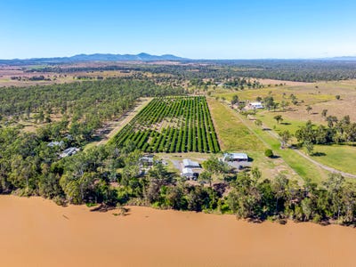 Riverview Mangos, 11 Lindleys Road, Etna Creek, QLD