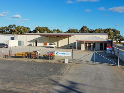 19 Webster Drive, Swan Hill, VIC