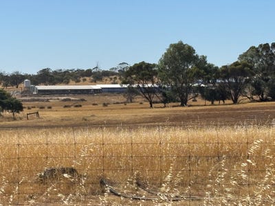 Youndegin Piggery, 875  Youndegin Kelkering Road, Youndegin, WA