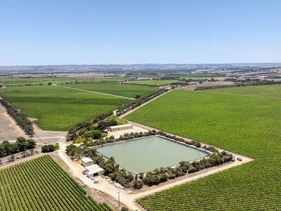 Langhorne Creek, 179 Milang Road, Belvidere, SA