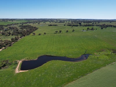 1482 Back Creek Road, Young, NSW