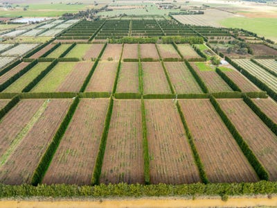 Address available on request, Bunbartha, VIC