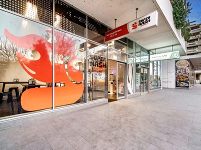 29 Amelia Street, Waterloo, NSW