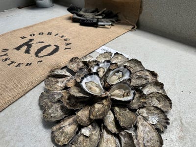 44 The Track, Kooringal, QLD